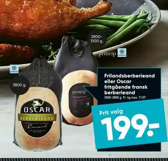 Bilka Frilandsberberieand eller Oscar fritgående fransk berberieand tilbud