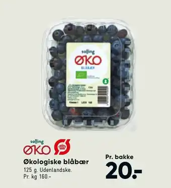 Bilka Økologiske blåbær tilbud