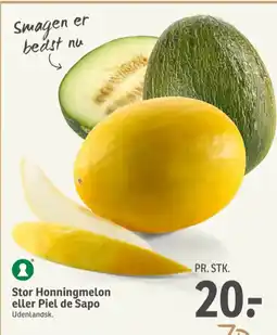 Piel De Sapo melon