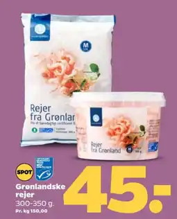Netto Rejer tilbud