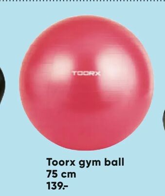 Toorx gym ball 75 cm