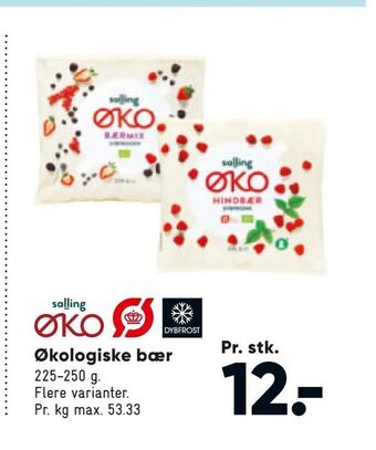 Bilka Økologiske bær tilbud