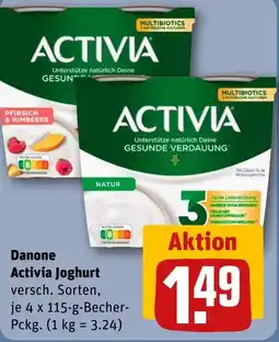 REWE DE Danone Activia Joghurt versch. Sorten, tilbud