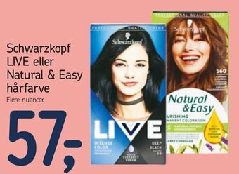 Føtex Schwarzkopf LIVE eller Natural & Easy hårfarve tilbud