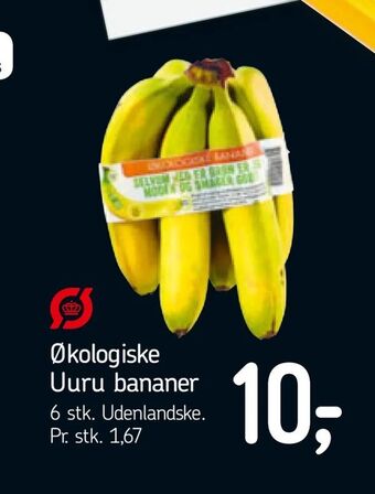 Føtex Økologiske Uuru bananer tilbud