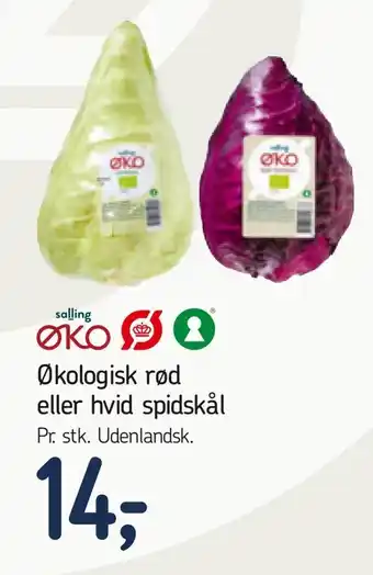 Føtex Økologisk rød eller hvid spidskål tilbud