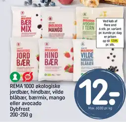 REMA 1000 Vilde Blåbær tilbud