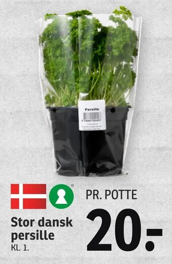 SPAR Stor dansk persille tilbud