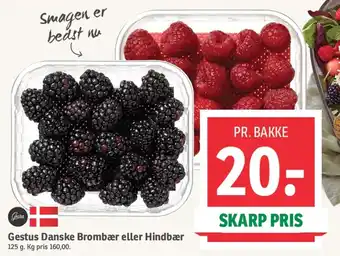 SPAR Gestus Danske Brombær eller Hindbær tilbud
