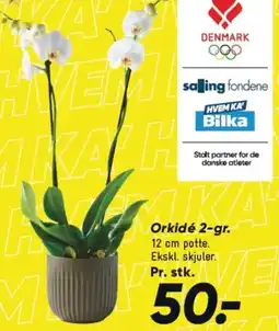 Bilka Orkidé 2-gr. tilbud