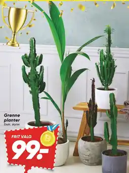 Bilka Grønne planter tilbud