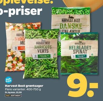 Netto Harvest Best grøntsager tilbud