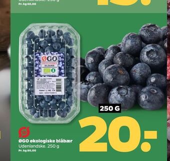 Netto ØGO økologiske blåbær tilbud