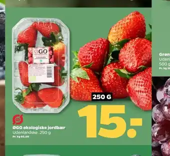 Netto ØGO økologiske jordbær tilbud