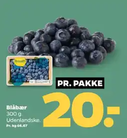 Netto Blåbær tilbud