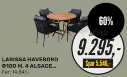 LARISSA HAVEBORD