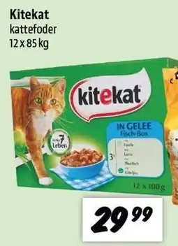 zur Krone Kitekat tilbud
