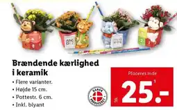 Lidl Brændende kærlighed i keramik tilbud
