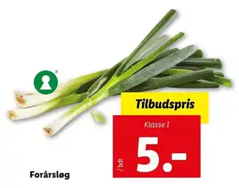 Forårsløg