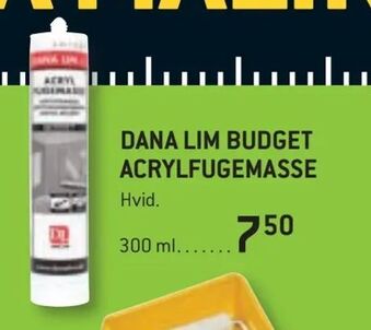 Dana lim budget acrylfugemasse