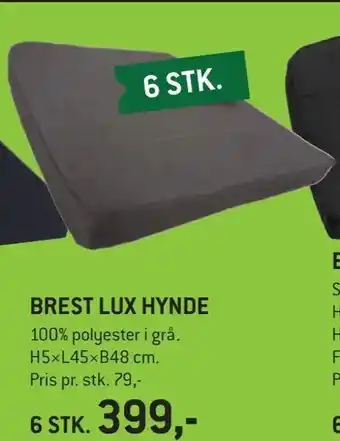 XL-BYG Brest lux hynde tilbud