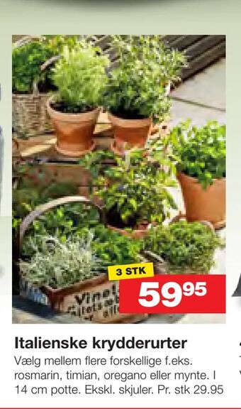 Italienske krydderurter