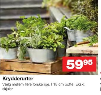 Bauhaus Krydderurter tilbud