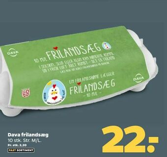 Netto Dava frilandsæg tilbud