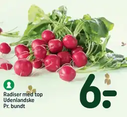 REMA 1000 Radiser med top Udenlandske Pr. bundt tilbud