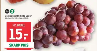 SPAR Gestus Stenfri Røde Druer tilbud