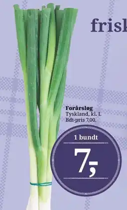 Forårsløg