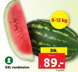 Lidl XXL vandmelon tilbud
