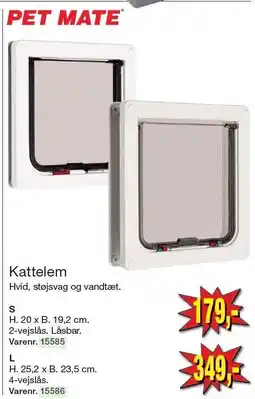 Kattelem