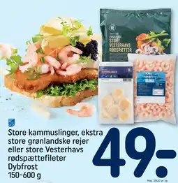 REMA 1000 Store kammuslinger, ekstra store grønlandske rejer eller store Vesterhavs rødspættefileter Dybfrost 150-600 g tilbud