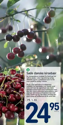 REMA 1000 Søde danske kirsebær tilbud