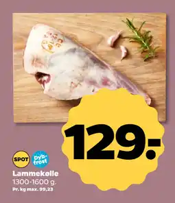 Netto Lammekølle tilbud