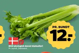 Netto ØGO økologisk dansk bladselleri tilbud
