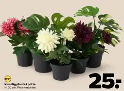 Netto Kunstig plante i potte tilbud