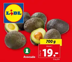 Lidl Avocado tilbud