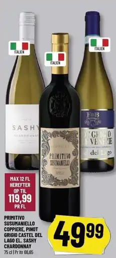 Løvbjerg PRIMITIVO SUSUMANIELLO COPPIERE, PINOT GRIGIO CASTEL DEL LAGO EL. SASHY CHARDONNAY tilbud