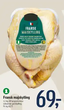 Føtex Kylling tilbud