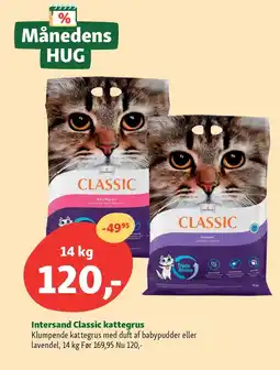 Maxi Zoo Intersand Classic kattegrus 14 kg tilbud