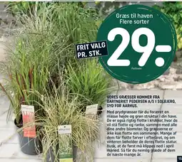 REMA 1000 Græs til haven tilbud