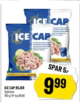 Løvbjerg ICE CAP REJER tilbud
