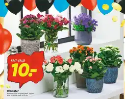 Bilka Buket tilbud