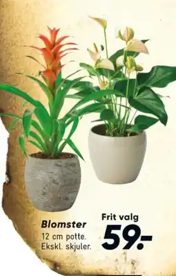 Bilka Planter tilbud