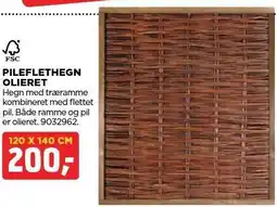 Pileflethegn olieret