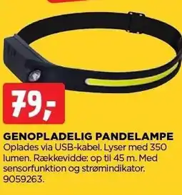 Genopladelig pandelampe