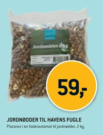XL-BYG Jordnødder til havens fugle tilbud