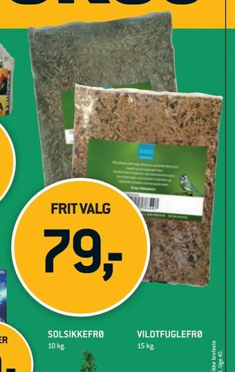 XL-BYG Solsikkefrø tilbud